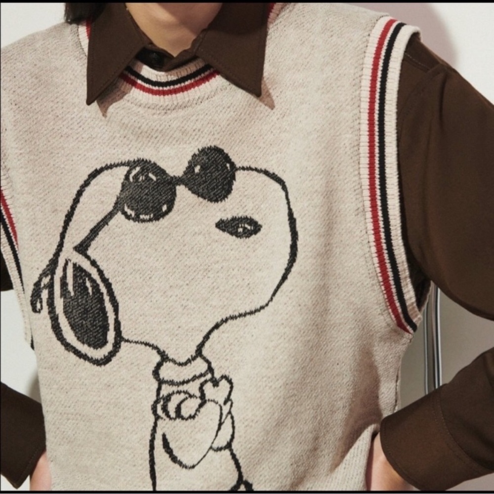 Zara Snoopy oversized Sweater vest - Picture 6 of 11